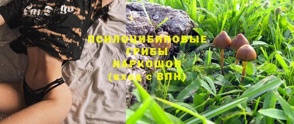 PSILOCYBIN Беломорск